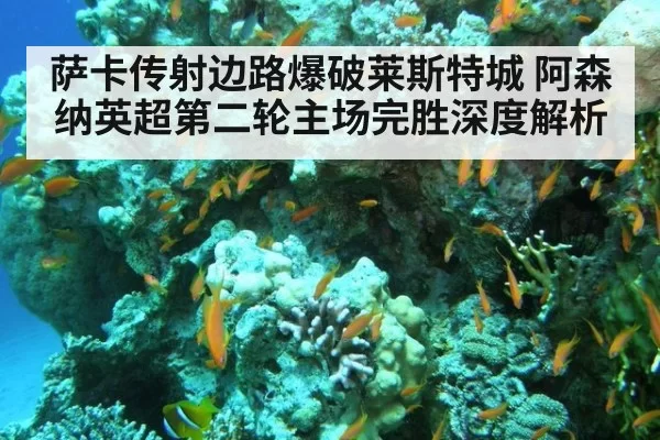 萨卡传射边路爆破莱斯特城 阿森纳英超第二轮主场完胜深度解析