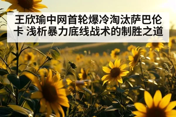 王欣瑜中网首轮爆冷淘汰萨巴伦卡 浅析暴力底线战术的制胜之道